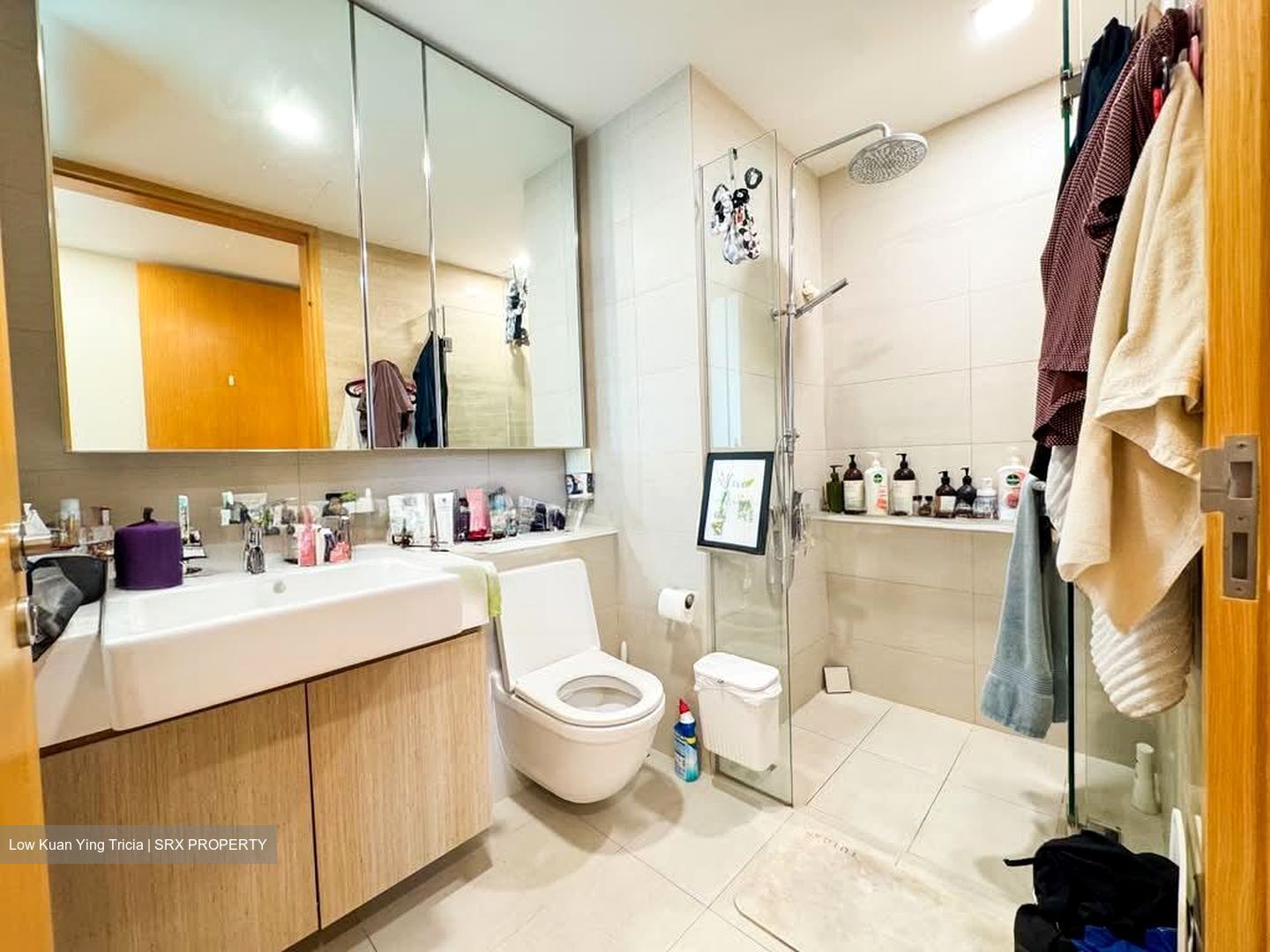 Thomson Three (D20), Apartment #540530811